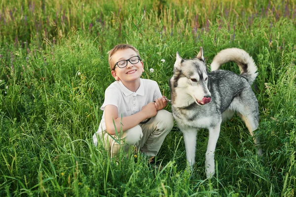 Dětský Chlapec Psem Huskym Poli Létě Při Západu Slunce — Stock fotografie