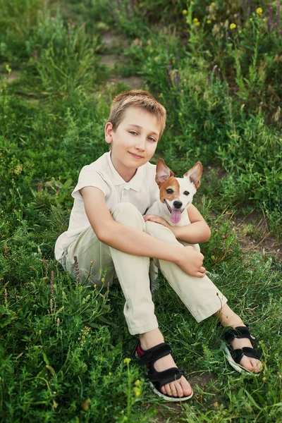 Chlapec Psem Jack Russell Terier Poli Létě Při Západu Slunce — Stock fotografie