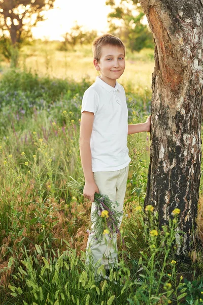 Niño Campo Verano Atardecer — Foto de Stock