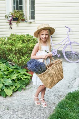 Yaz aylarında bahçede bir sepet Lavanta bir şapka ile bebek kız