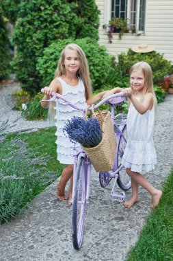 bahçede yaz aylarında bir bisiklet ve lavanta ile iki kız arkadaş