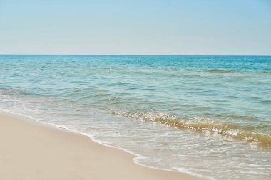 plaj ve deniz manzarası, mavi su