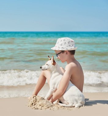 sahilde köpek Jack Russel ile çocuk