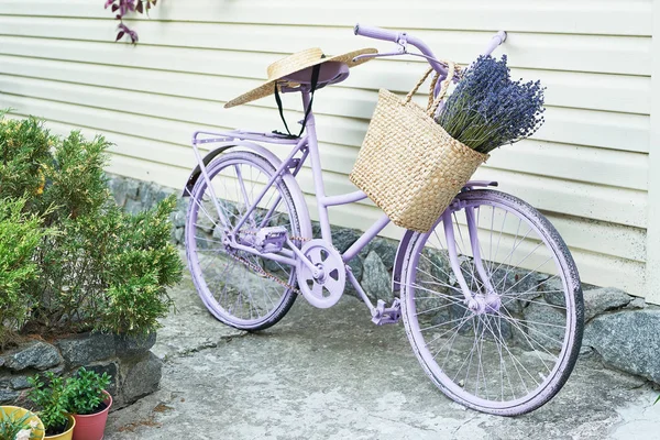 lilac bike with a basket of lavender in the yard