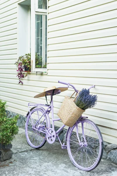 lilac bike with a basket of lavender in the yard