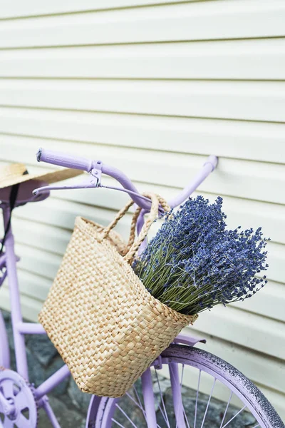 lilac bike with a basket of lavender in the yard