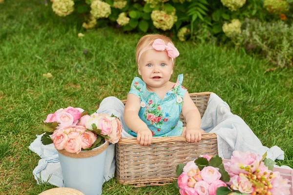 Gyermekvédelmi Nap Baby Girl Parkban Egy Kosárban Egy Nyári Piknik — Stock Fotó