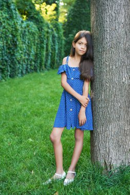 gün batımında bir yaz parkında bir ağacın yanında genç kız