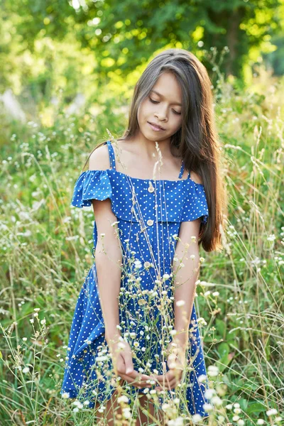 드레스를 소녀가 일몰에 숲에서 걷는다 — 스톡 사진