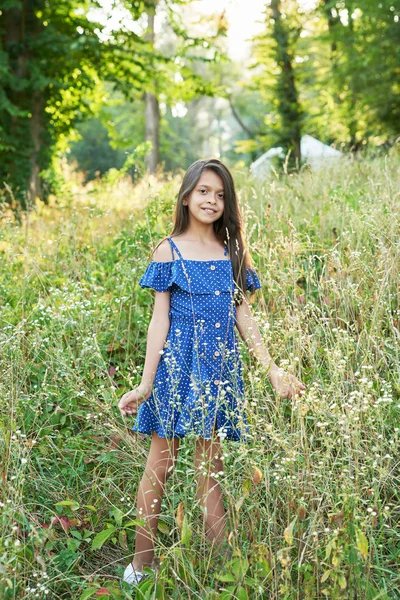 Adolescente Vestido Azul Camina Bosque Verano Atardecer — Foto de Stock