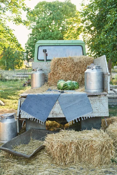 pickup truck with watermelons and straw in the garden in summer, harvesting