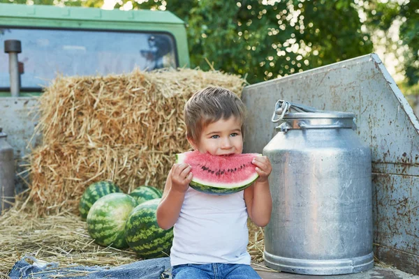 child boy with watermelon sits on a pickup truck during harvest