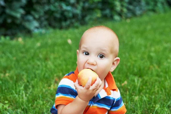 Ragazzo Del Ringraziamento Della Zucca Halloween — Foto Stock