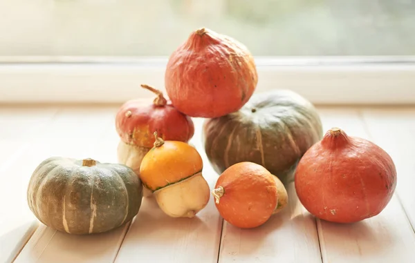 Calabazas Sobre Fondo Madera Blanca Para Acción Gracias Halloween — Foto de Stock