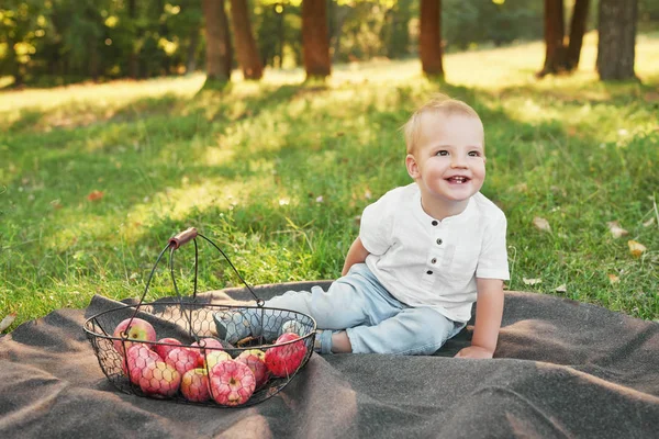 child boy with apples in the park on a picnic