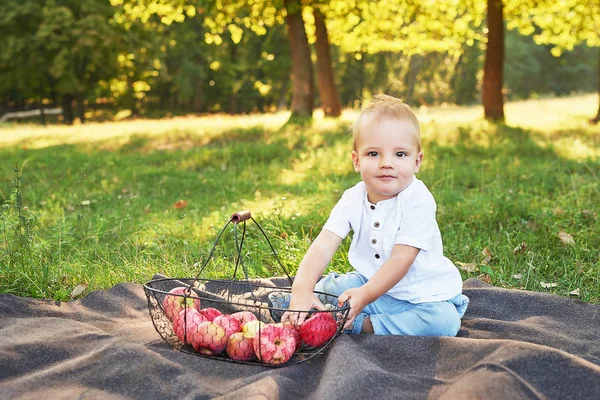 Niño Con Manzanas Parque Picnic — Foto de Stock