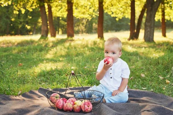 piknikte parkta elma ile çocuk çocuk