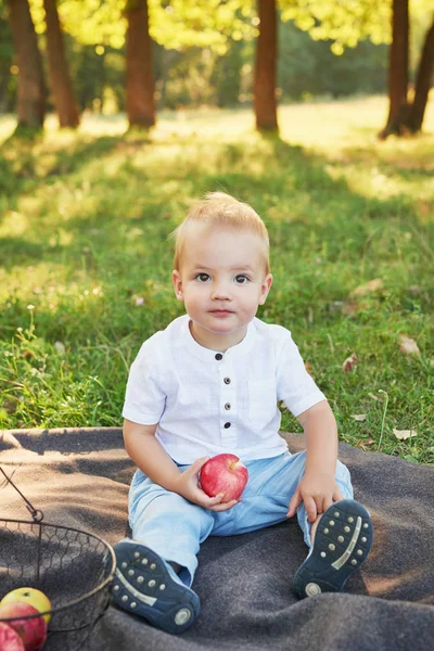 Niño Con Manzanas Parque Picnic — Foto de Stock