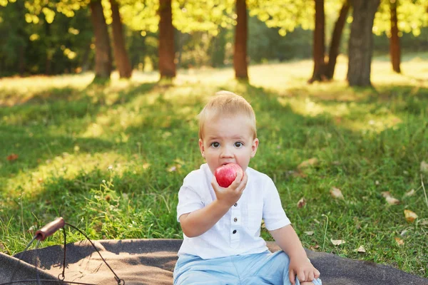 Niño Con Manzanas Parque Picnic — Foto de Stock