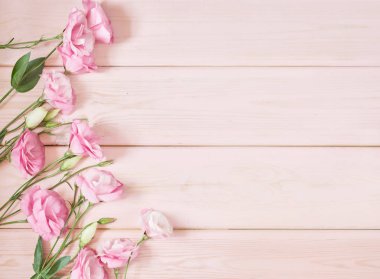 pembe bir arka plan üzerinde eustoma çiçekler