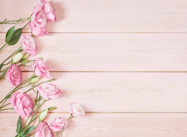 ピンクの背景にユースマの花 — ストック写真