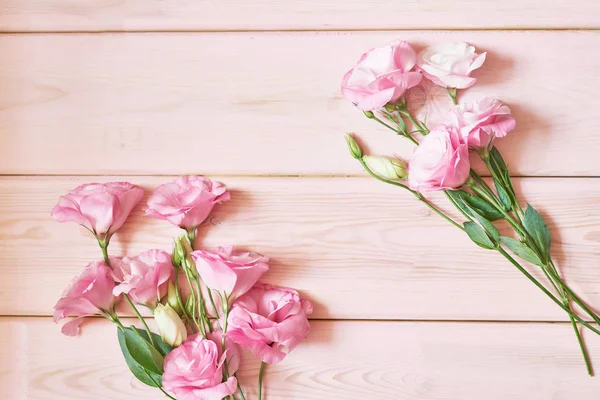 Eustoma Blüten Auf Rosa Hintergrund — Stockfoto
