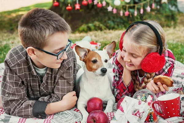 Děti Chlapec Dívka Psem Jack Russell Teriér Vánočního Stromečku Dárky — Stock fotografie