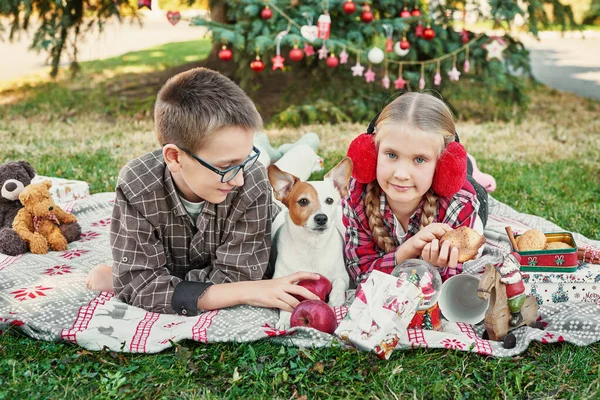 Děti Chlapec Dívka Psem Jack Russell Teriér Vánočního Stromečku Dárky — Stock fotografie