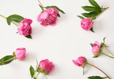 Şakayık buketi. Zengin şakayıklar sürüsü. Anneler günü için tebrik kartı. Kadınlar Günü. Sevgililer Günü. Uzayı kopyala Çiçekli bahar veya yaz tebrik kartı. Düğün davetiyesi. Mutlu yıllar..