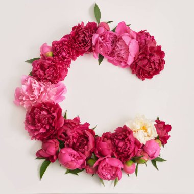 Şakayık buketi. Zengin şakayıklar sürüsü. Anneler günü için tebrik kartı. Kadınlar Günü. Sevgililer Günü. Uzayı kopyala Çiçekli bahar veya yaz tebrik kartı. Düğün davetiyesi. Mutlu yıllar..