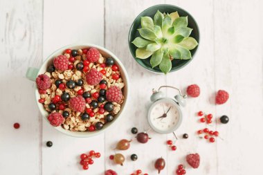 Beyaz arka planda renkli taze böğürtlen. Frenk üzümlü yulaf ezmesi, ahududu, bektaşi üzümü. Vitaminler, diyet. Uzayı kopyala Sağlıklı yemek, detoks. Samimi günaydın! Yaz Sağlıklı kahvaltı.