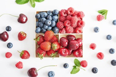 Beyaz arka planda renkli taze böğürtlenler. Üst Manzara. Düz yatıyordu. Yaz Organik Vişne, Frenk üzümü, Bektaşi üzümü. Tarım, bahçıvanlık, hasat konsepti. Vitaminler, Sağlıklı Beslenme.