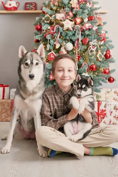 Familia Navideña Niño Con Perros Husky Cachorros Fondo Del Árbol — Foto de Stock
