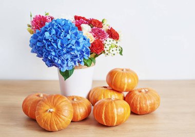 Sonbahar hasat balkabağı arka planı. Balkabakları ve çiçekler masada. Şükran Günü masası. Uzayı kopyala Cadılar Bayramı ya da mevsimsel sonbahar. Tasarım modeli. Tebrik kartı. Sonbahar mutfağı