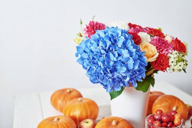 Sonbahar hasat balkabağı arka planı. Balkabakları, elmalar ve çiçekler masada. Şükran Günü masası. Uzayı kopyala Cadılar Bayramı ya da mevsimsel sonbahar. Tasarım modeli. Tebrik kartı. Sonbahar mutfağı