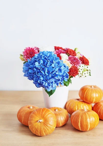 Sonbahar hasat balkabağı arka planı. Balkabakları ve çiçekler masada. Şükran Günü masası. Uzayı kopyala Cadılar Bayramı ya da mevsimsel sonbahar. Tasarım modeli. Tebrik kartı. Sonbahar mutfağı