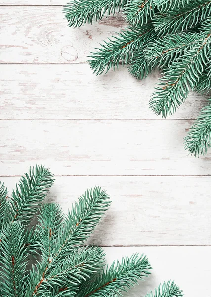 크리스마스 배경에는 소나무 가지가 평평하게 받으세요 크리스마스와 전나무 방학과 — 스톡 사진
