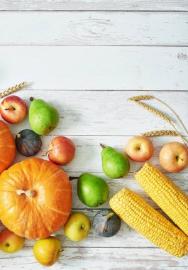 Sonbahar hasat balkabağı arka planı. Sonbahar hasadı sebze ve meyve. Balkabakları, elmalar, armutlar, masada mısır. Şükran Günü masası. Cadılar Bayramı ya da mevsimsel sonbahar. Tebrik kartı. Sonbahar mutfağı