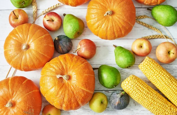 Fondo Calabaza Cosecha Otoñal Otoño Cosecha Verduras Frutas Calabazas Manzanas — Foto de Stock