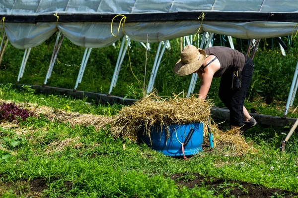 Bäuerin Nutzt Stroh Für Den Garten — Stockfoto