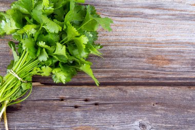 eski ahşap masa üzerinde taze kişniş veya Salantro buket