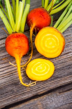 golden beets freshly harvested  raw on rustic wood background clipart