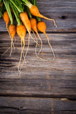 Hatıra organik minyatür havuç bir rustik ahşap tahta arka plan üzerinde