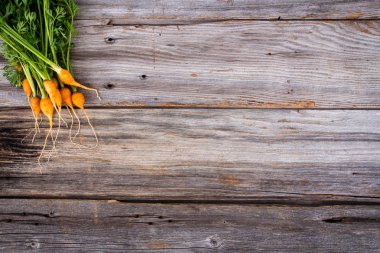 heirloom organic miniature carrots over a rustic wood plank background clipart