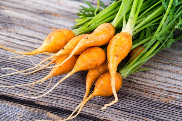 Heirloom Organic Miniature Carrots Rustic Wood Plank Background — Stock Photo, Image