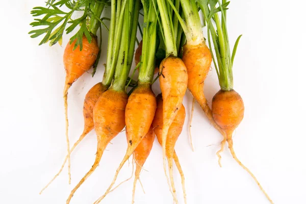 Organic Fresh Mini Heirloom Carrots White Background — Stock Photo, Image