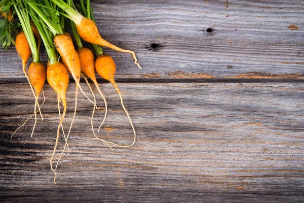 Органические миниатюрные морковки — стоковое фото