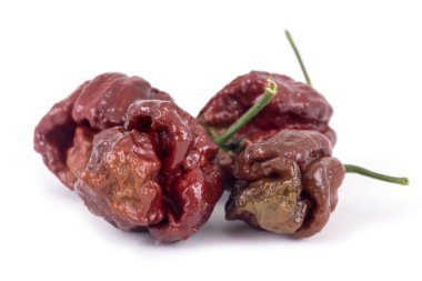 Trinidad moruga akrep çikolata son derece sıcak biber çeşitli