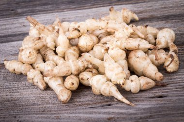 Japanese crosne Stachys affinis tubers rhizome root vegetable closeup clipart