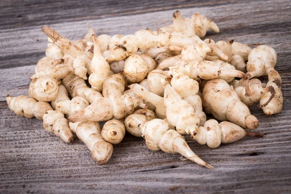 Japonés Crosne Stachys Affinis Tubérculos Rizoma Raíz Vegetal Primer Plano — Foto de Stock